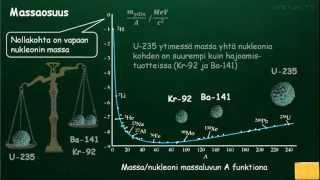 FY8 Ytimen massavaje ja massaosuus