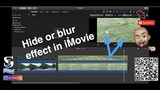 iMovie Blur Effect - How To Hide/Blur an object in iMovie (Step by step tutorial)