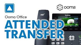 Ooma Office - How to use Attended Transfer