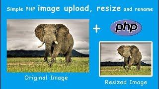 Live Image Upload, Crop, Rename and Resize using PHP