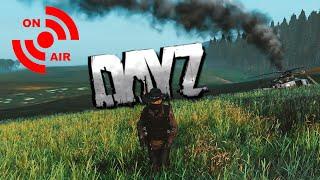 Solo DayZ is Harder Than You Think