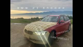 BMW 318i touring из Японии в 2024. Сам купил! Сам пригнал!