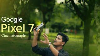 কেন Google Pixel 7 কিনবেন? Cinematography with Google pixel 7