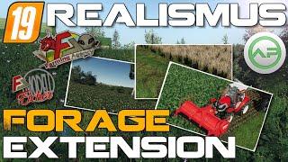  [LS19] | Realismus Mods | ️ Forage Extension by Farming Agency ️ | Endlich richtig füttern