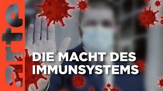 Unser Immunsystem - Wächter der Gesundheit | Doku HD | ARTE