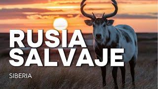 RUSIA SALVAJE