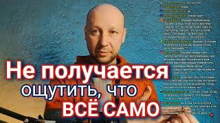 Как осознать, что всё происходит само | Инициация деятеля | #сатсанг #самоисследование #пробуждение