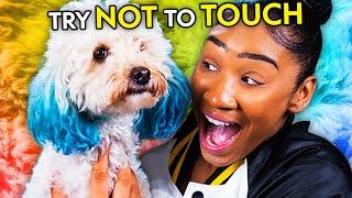 Adults Try Not To Touch Challenge - Puppies, Fake Snow & Fake Fire! | Try Not To