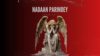 Nadaan Parindey ( Techno Edit ) - REOWN | #bollywood #bollytech #techno