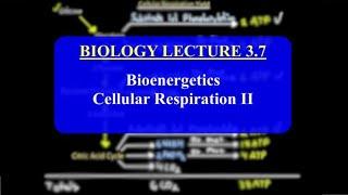 IMAT Biology Lesson 3.7 | Bioenergetics | Cellular Respiration 2 | Oxidative Phosphorylation