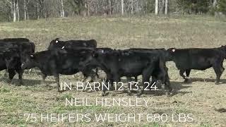 TRI STATE IN BARN LOAD OF CATTLE