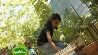 Documentary on the terrace vegetable garden