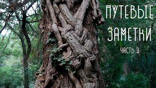 Путевые заметки. Часть 3. Почти Качи-Кальон, обнаженка и Никитский ботанический сад