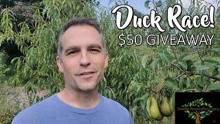 The Duck Race is here! $50 West Coast Seeds giveaway.