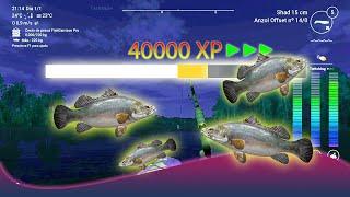 Fishing Planet  Congo River - Leveling Guide 80-90!