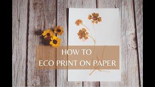 HOW TO ECO PRINT ON PAPER | THE SECRET TO CLEAR PRINTS | BOTANICAL PRINTING | NATURAL DYE