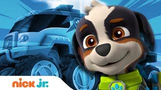 Meet Rex: A NEW PAW Patrol Pup! | Nick Jr.