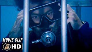 Shark Cage Scene | JAWS (1975) Movie CLIP HD