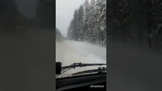 siberia taiga#auto#shorts