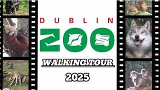 Dublin Zoo | Walking Tour 2025