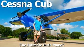 Cessna Cub - The Ultimate Bush Plane? - Flight