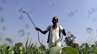 PM Modi's new crop insurance scheme reaches out to farmers