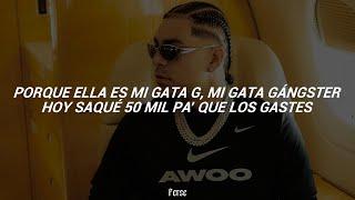 Ryan Castro - GATA G (Letra/Lyrics)