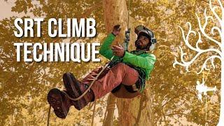 How to climb SRT / SRS | beginner tree climbing | stationary rope system | Arborist tips/tricks