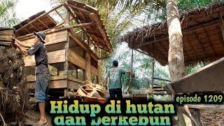 terus berusaha memperbaiki kebun dan ternak untuk kesuksesan warta petani muda hidup di hutan