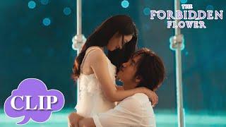So sweet ! Your kisses are never enough for me!  | The Forbidden Flower | EP24 Clip