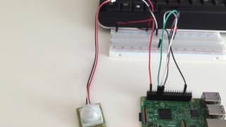 Raspberry Pi: PIR (Passive Infrared) Sensor