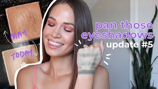 Pan Those Eyeshadows Update #5 | Switching Up HALF of My Focus Shades!