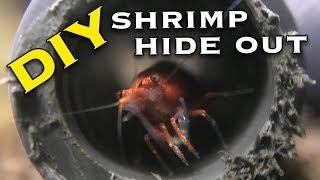 How to Make Cheap Shrimp Tunnels