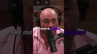 Joe Rogan asking Elon Musk about being an Alien