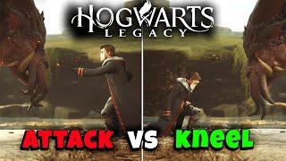 Kneel vs Attack Graphorn - Hogwarts Legacy