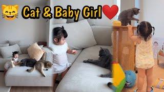 The Cute Little Girl is Always Teasing The Cat...