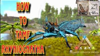 How to tame rhyniognatha | easy way to tame | ark ultimate mobile | #arkultimatesurvivoredition