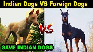 Indian vs Foreign Dog Breeds : Save Indian Dogs : Dog VS Dog : TUC
