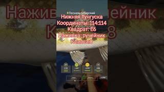 РР4. Где и на что клюет ТРОФЕЙ  Пескарь Сибирский на Тунгуске!?#трофей#рр4