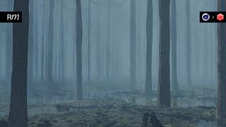 How to Create a Foggy Forest in Cinema 4D and Redshift