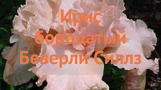 Ирис бородатый Беверли Силлз  обзор: как сажать, саженцы ириса Беверли Силлз