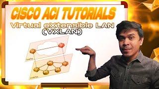 Cisco ACI Tutorials - Virtual eXtensible LAN (VXLAN) Ep4