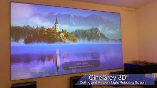  Elite Screen 135” Ceiling & Ambient Light Rejection Screen – CineGrey 3D® with LG 4K Projector