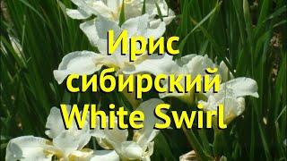 Ирис сибирский Вайт Свирл. Краткий обзор, описание характеристик iris sibirica White Swirl