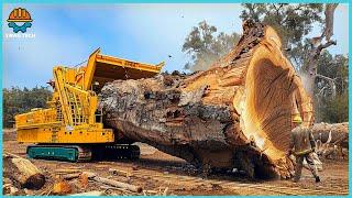 909 EXTREME Dangerous Huge Wood Chipper Machines | Best Of USA