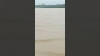 Assam flood viral video