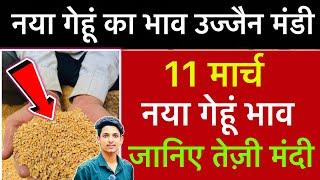 Ujjain Mandi Gehu Ka Bhav | Wheat Price Today | Ujjain Mandi Bhav Today | 11 March 2025