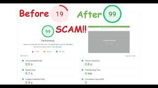 Page Speed Score Optimization Scam - Alert for E-commerce & Shopify Store Owners