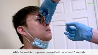 Rapid Response® COVID-19 Antigen Rapid Test: Nasal Swab