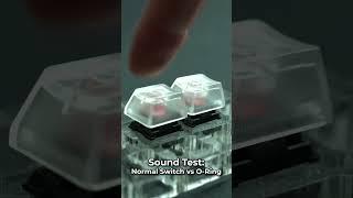 O-Rings vs Normal Switches - Sound Test